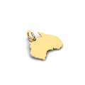 Wisiorek złoty mapa Australii grawer 14kr