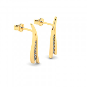 Exclusive gold earrings with diamonds present